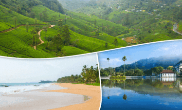 Sri lanka Tour