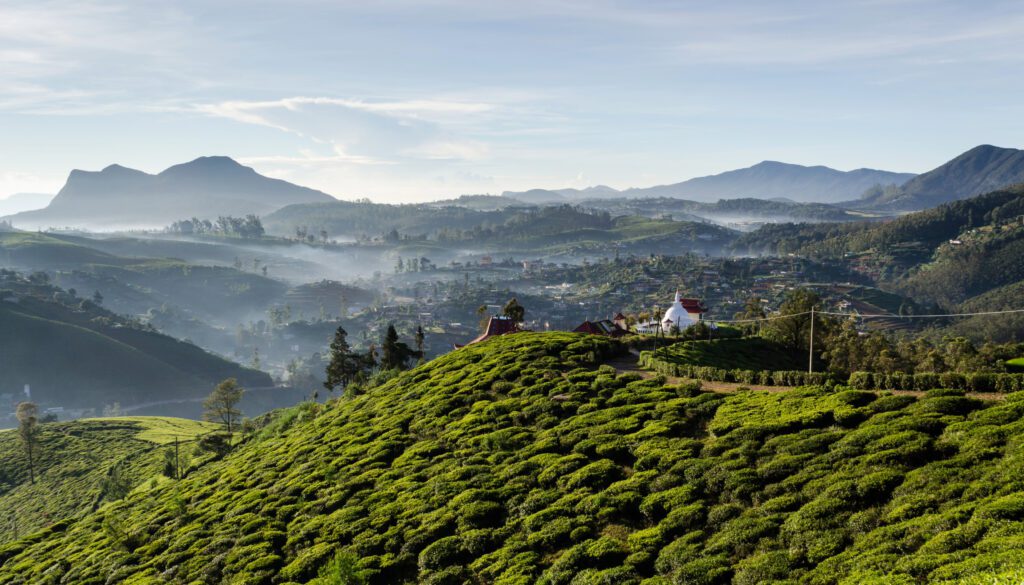 nuwara eliya city tour