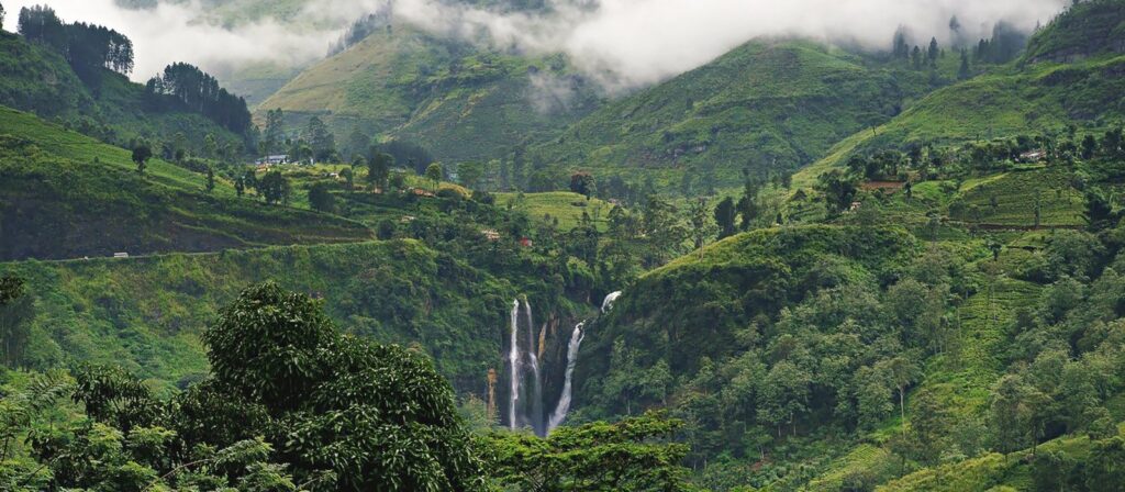 nuwaraeliya trip