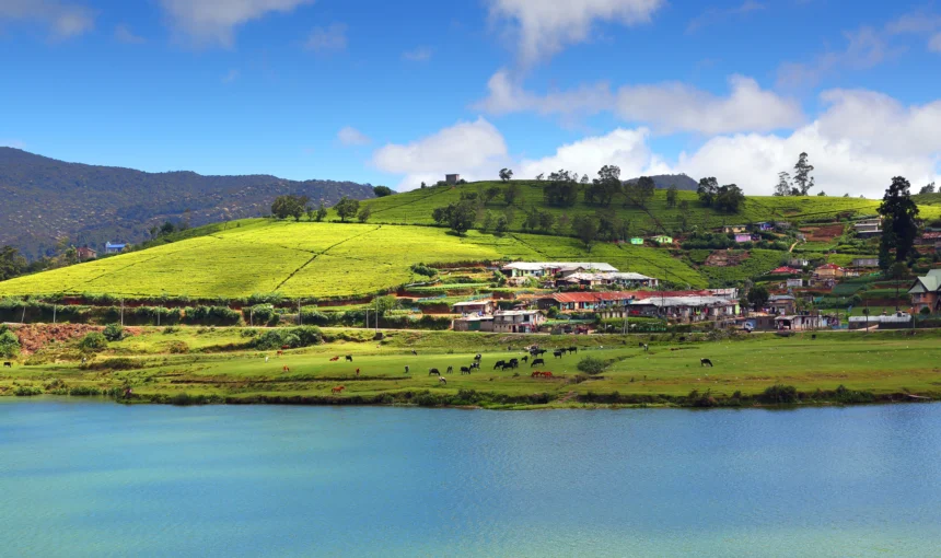 Nuwara Eliya: The Enchanting Hill Country Getaway