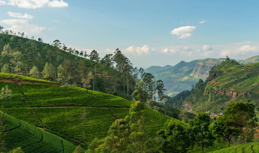 Discover the Enchanting Hill Stations of Sri Lanka: A Paradise for Nature Lovers