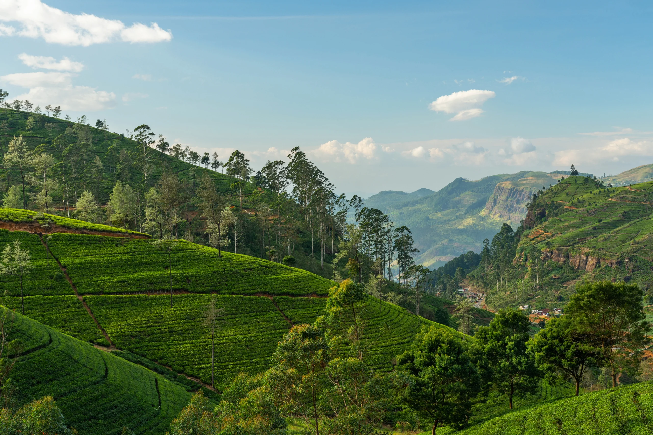 sri lanka