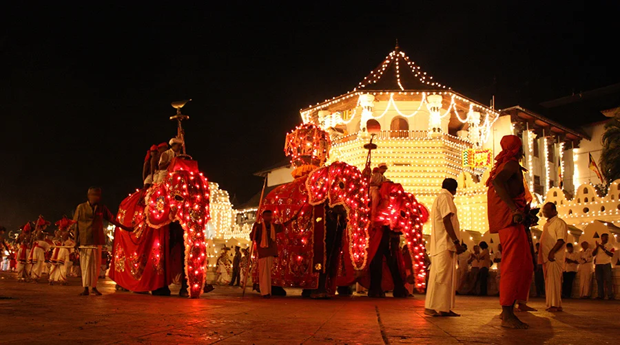 Discover the Magic of a Sri Lanka Tour 7 sri lanka tour