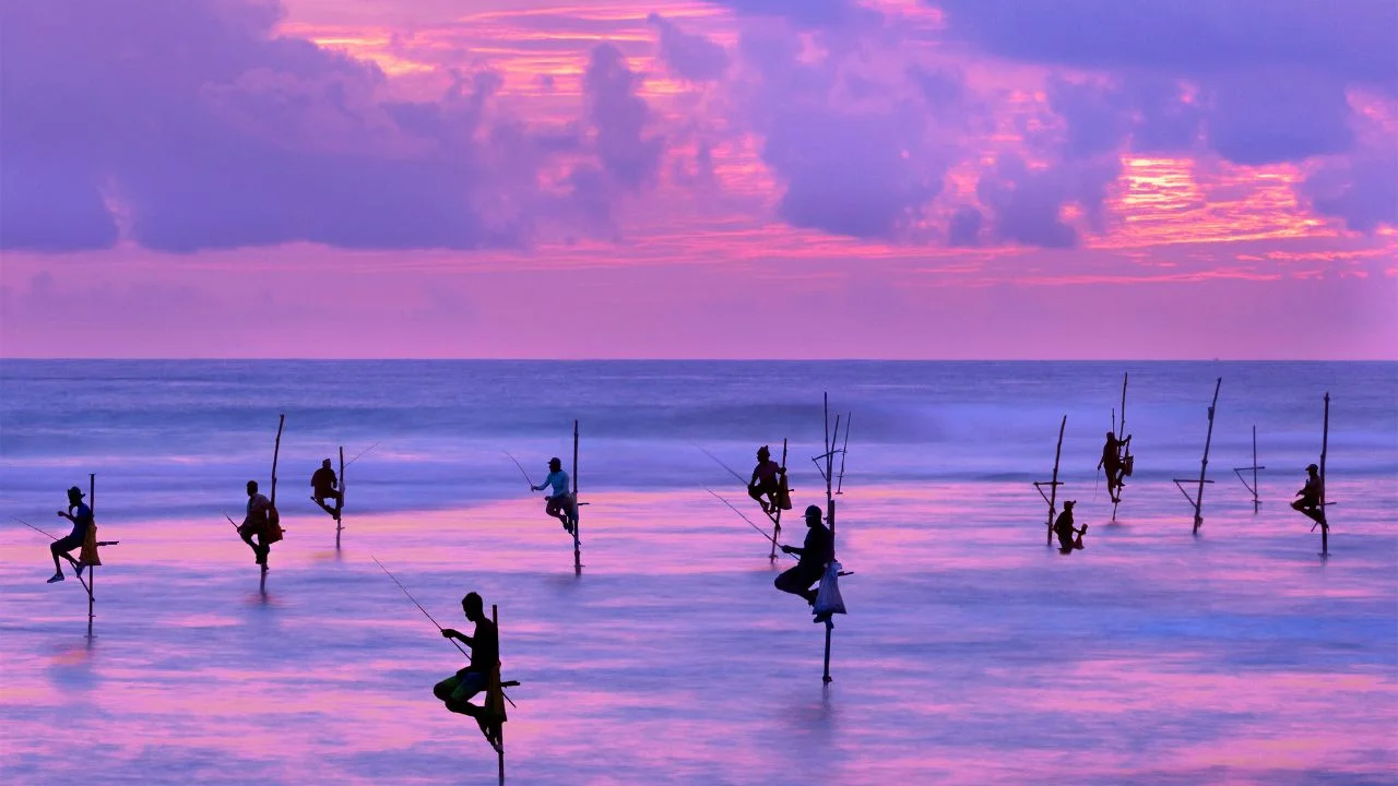 Discover the Magic of a Sri Lanka Tour 1 sri lanka tour