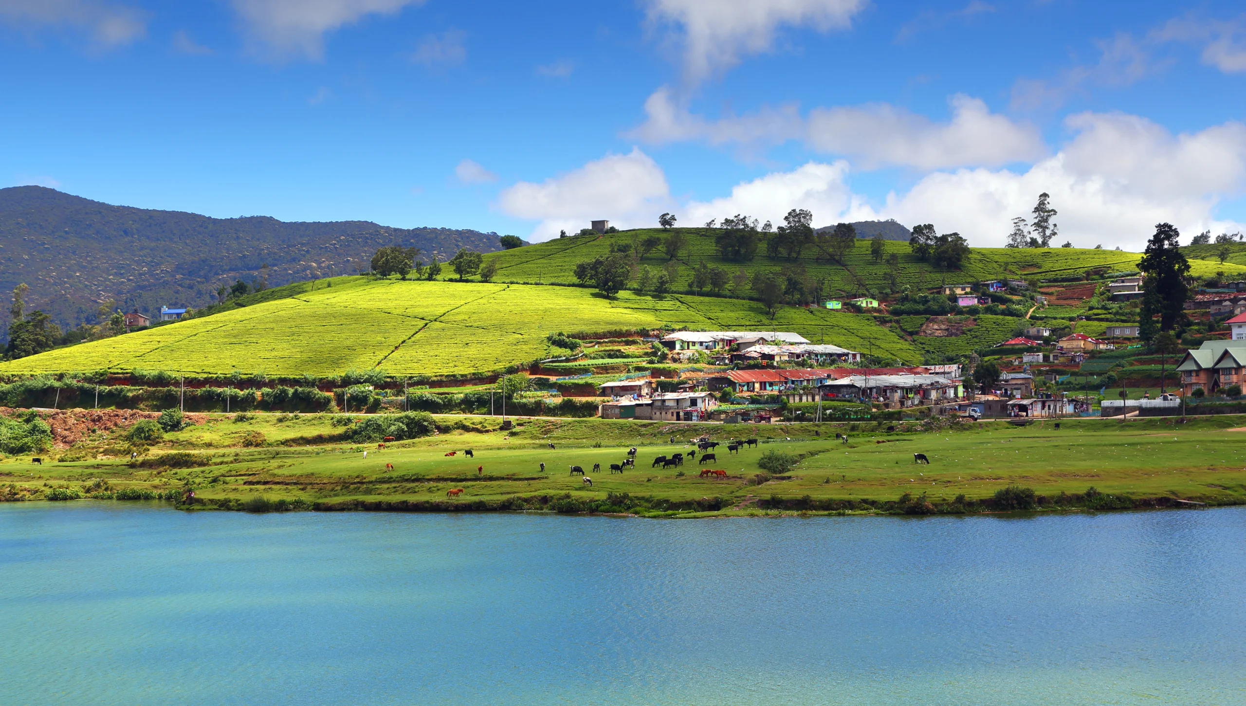 Nuwara Eliya: The Enchanting Hill Country Getaway 1 nuwara eliya